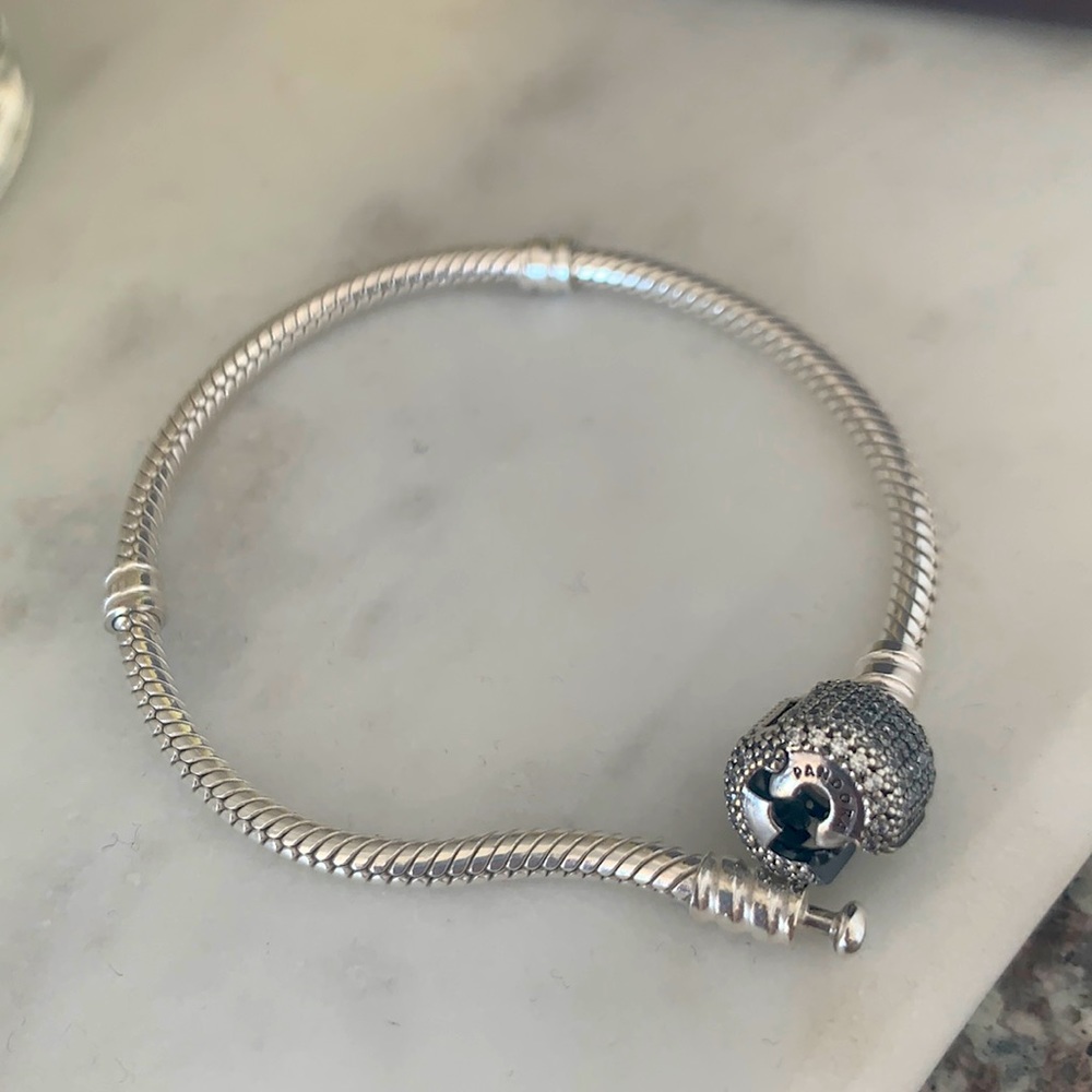 Pandora Charm Bracelet
